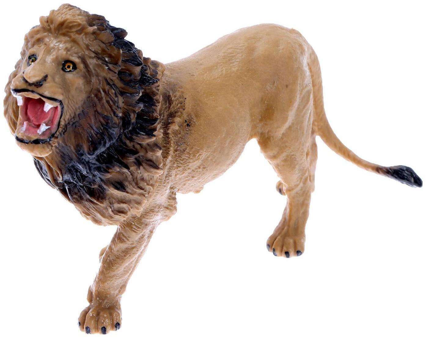 Набор животных «Дикие»