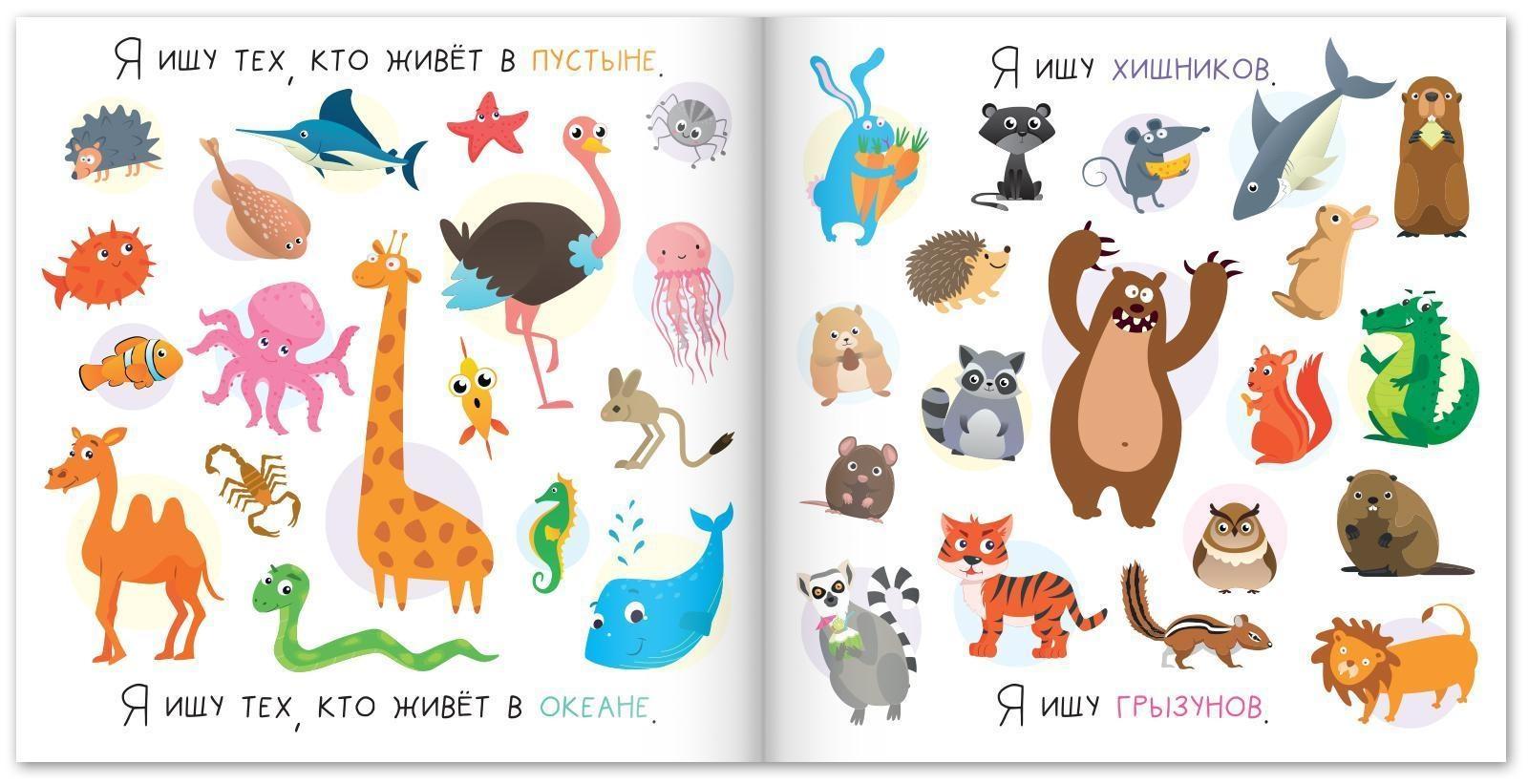 Набор книг найди и покажи «Я ищу» для любопытных ребят, 3 шт. по 16 стр.