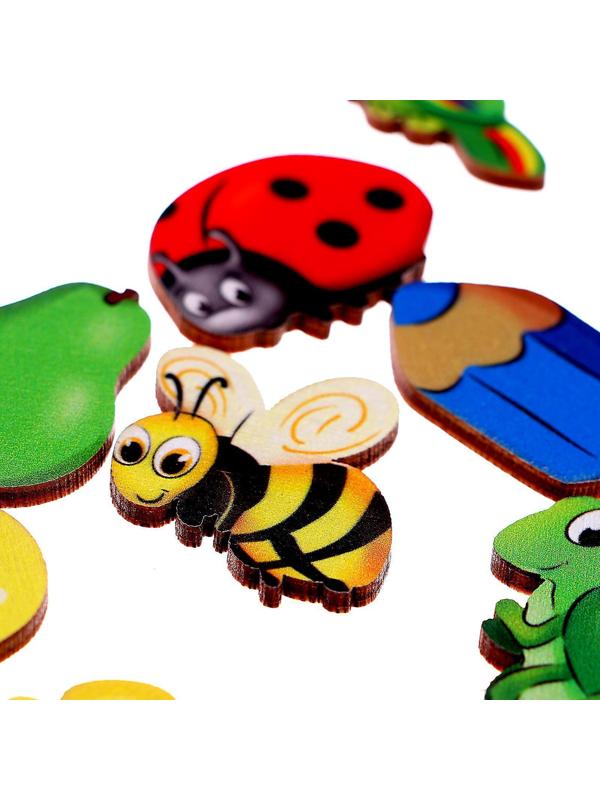 Сортер «Окружающий мир»