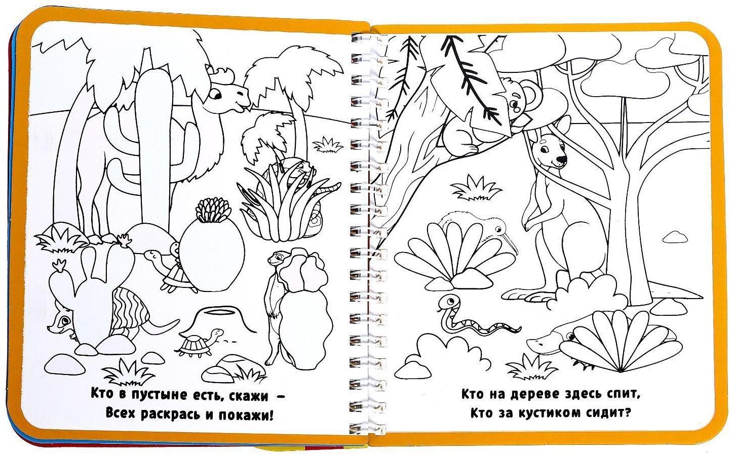 Книжка-раскраска многоразовая «Рисуем водой. Кто где спрятался?», 10 стр.