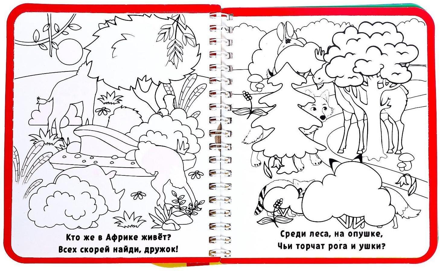 Книжка-раскраска многоразовая «Рисуем водой. Кто где спрятался?», 10 стр.