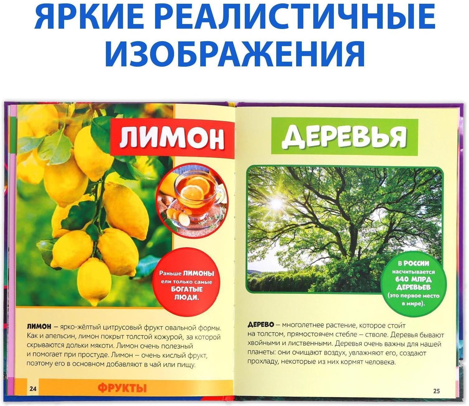 Фотоэнциклопедия для детей «Мир вокруг нас», 48 стр.