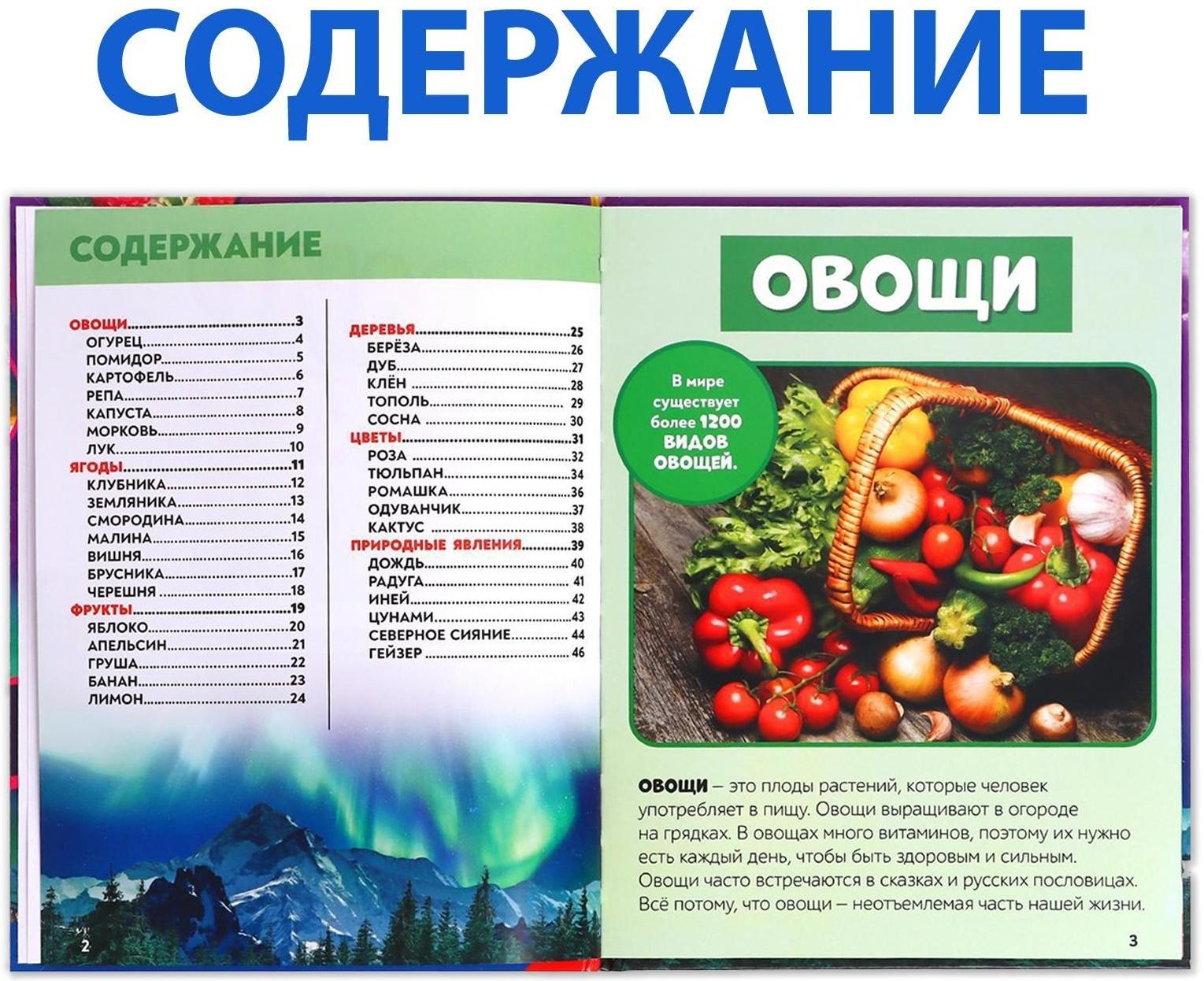 Фотоэнциклопедия для детей «Мир вокруг нас», 48 стр.