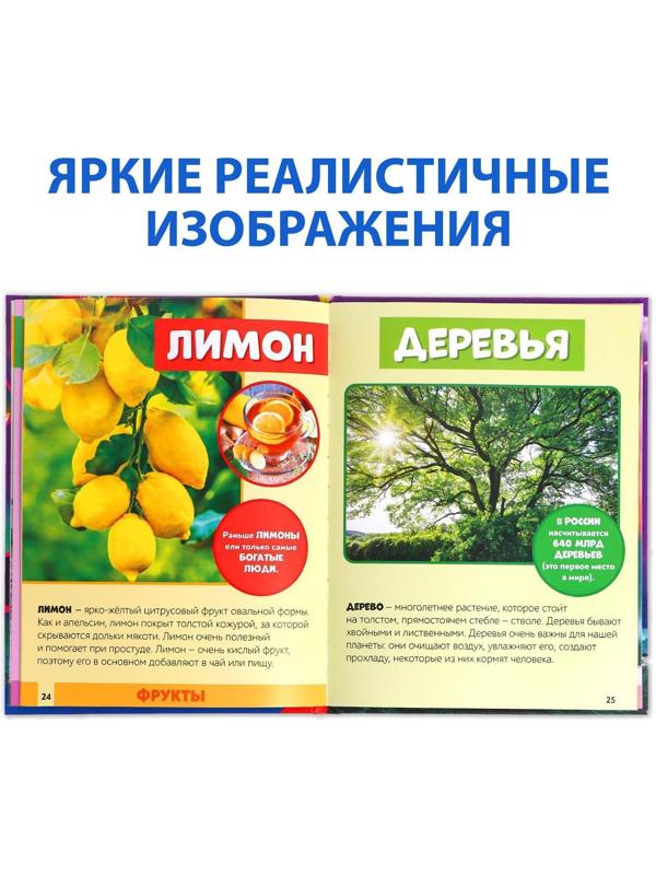 Фотоэнциклопедия для детей «Мир вокруг нас», 48 стр.