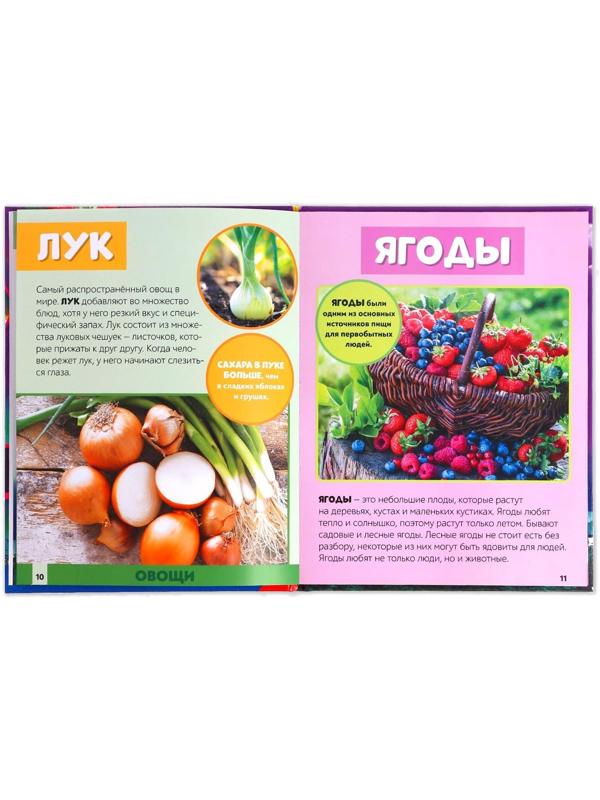 Фотоэнциклопедия для детей «Мир вокруг нас», 48 стр.