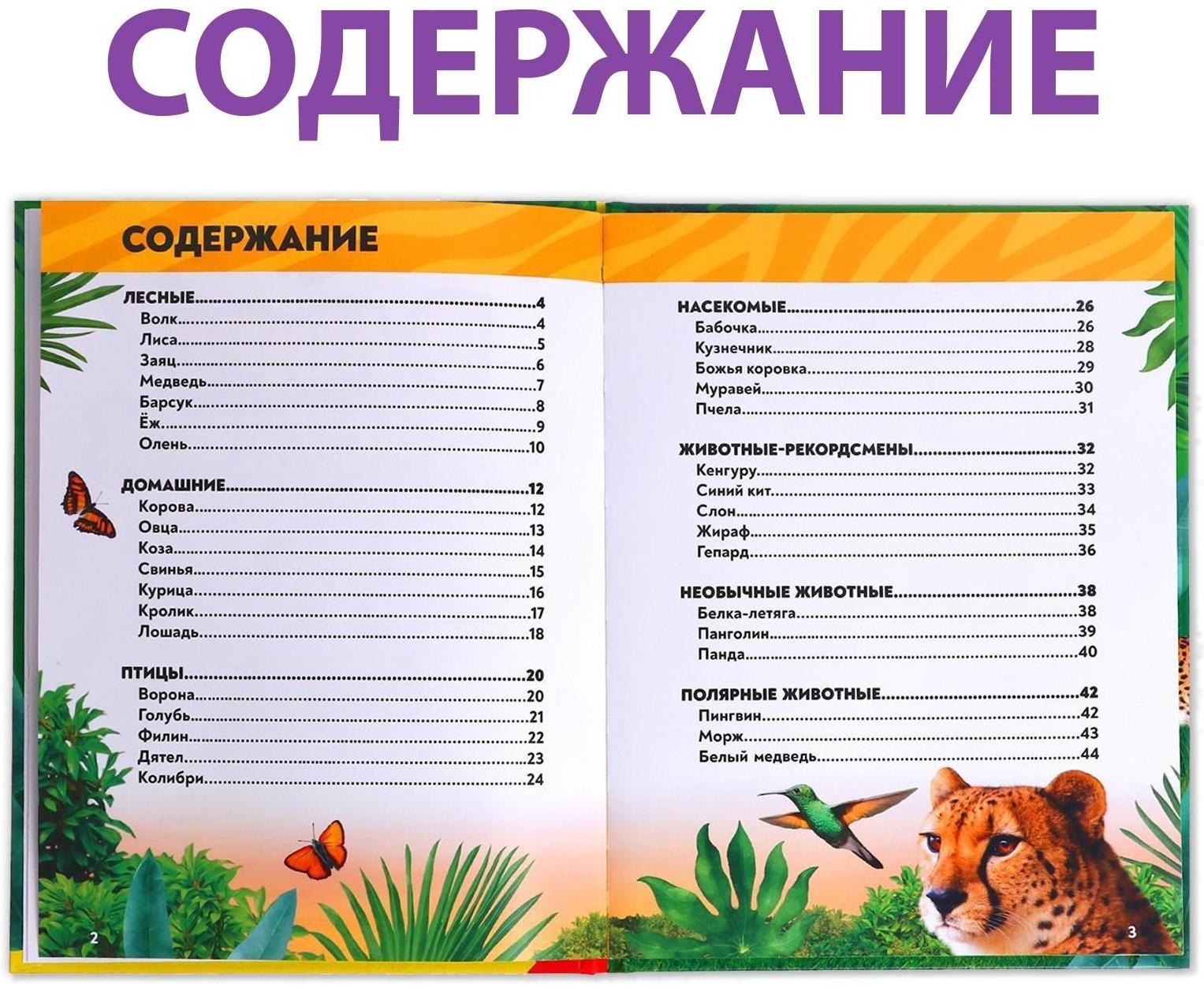 Фотоэнциклопедия для детей «В мире животных», 48 стр.
