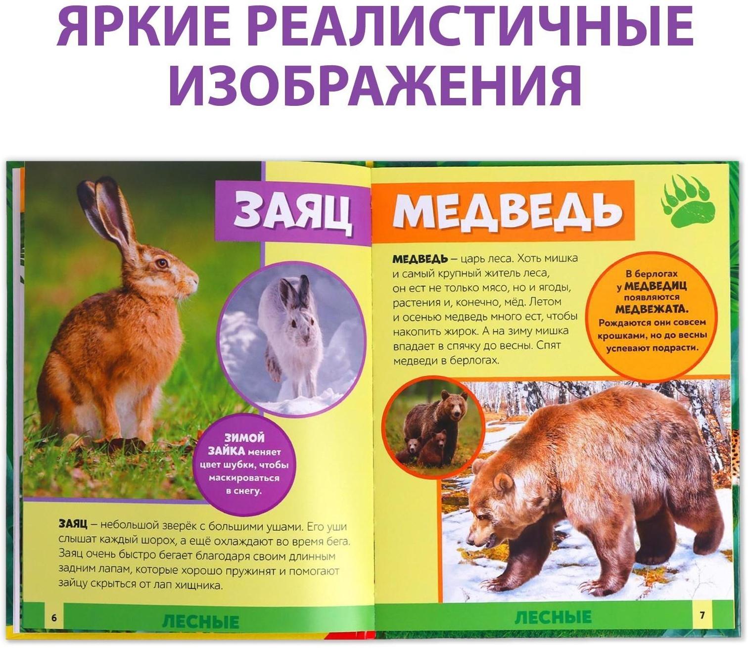 Фотоэнциклопедия для детей «В мире животных», 48 стр.