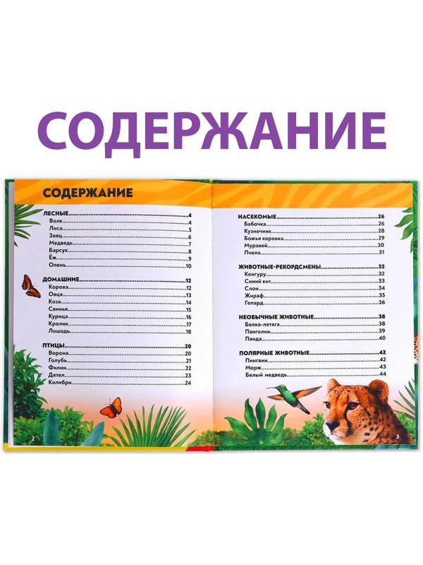 Фотоэнциклопедия для детей «В мире животных», 48 стр.
