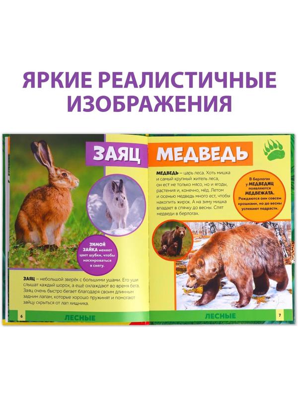 Фотоэнциклопедия для детей «В мире животных», 48 стр.