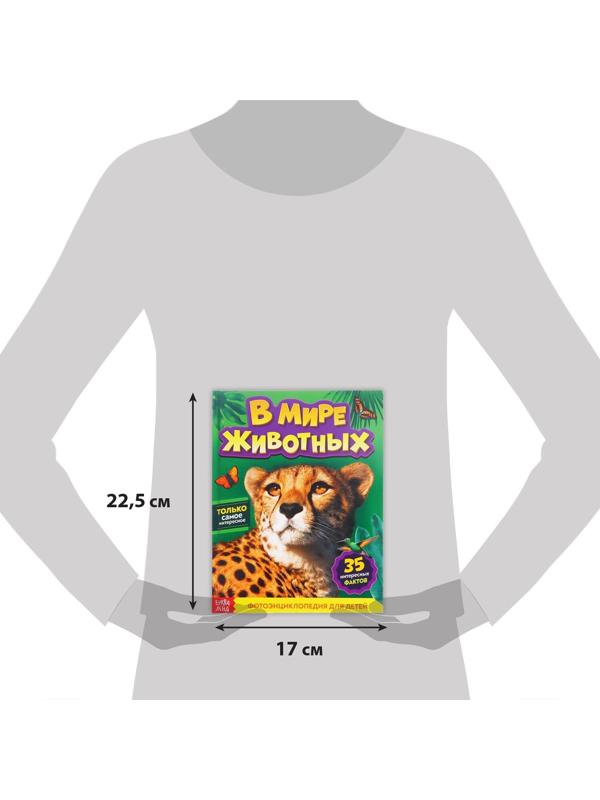 Фотоэнциклопедия для детей «В мире животных», 48 стр.