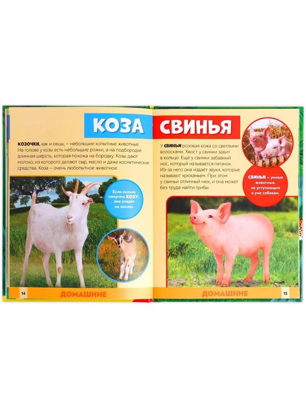 Фотоэнциклопедия для детей «В мире животных», 48 стр.
