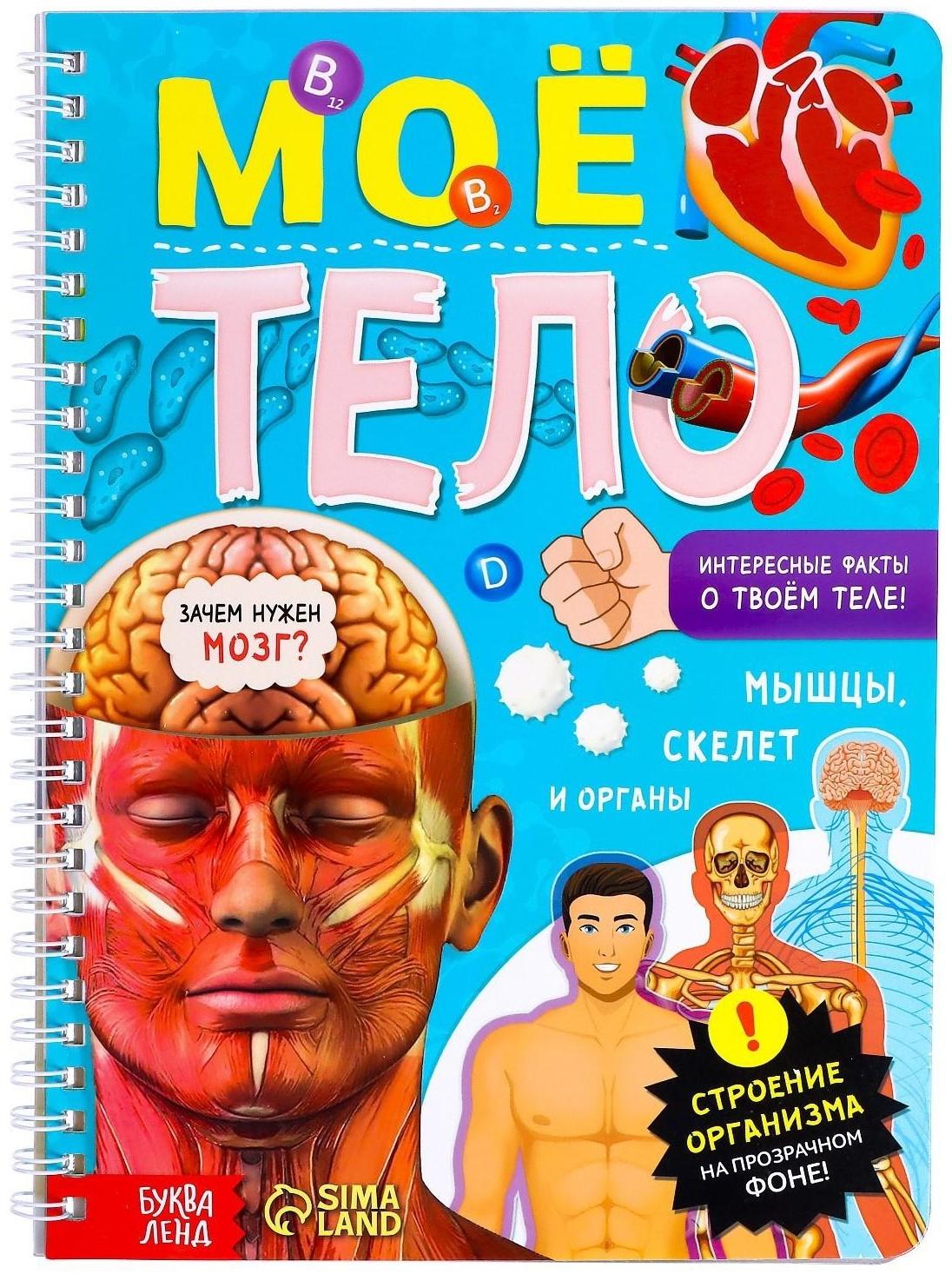 Книга с прозрачными страницами «Моё тело», 32 стр.