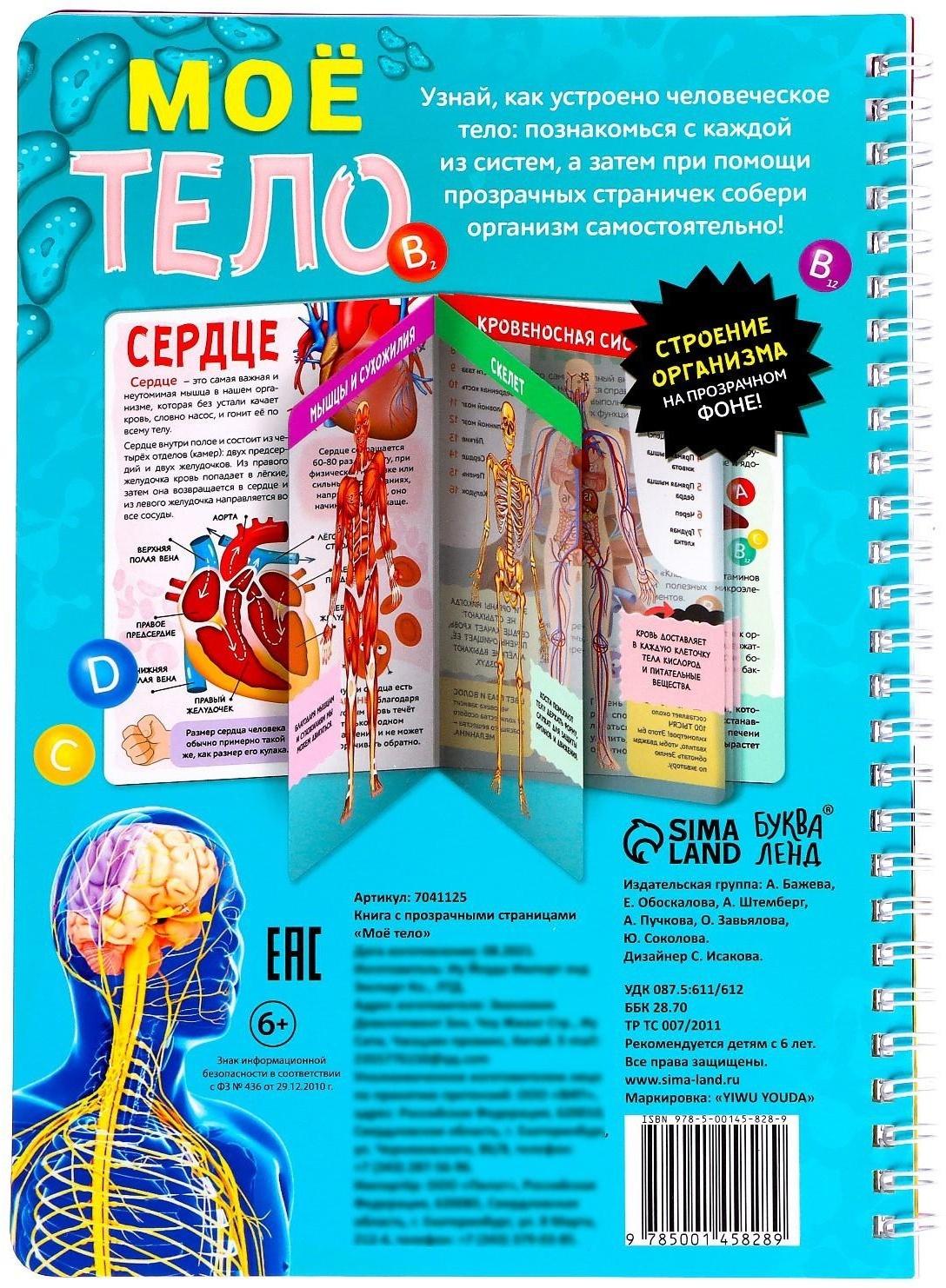 Книга с прозрачными страницами «Моё тело», 32 стр.