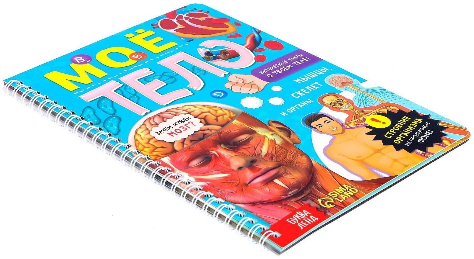 Книга с прозрачными страницами «Моё тело», 32 стр.