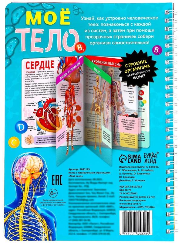 Книга с прозрачными страницами «Моё тело», 32 стр.