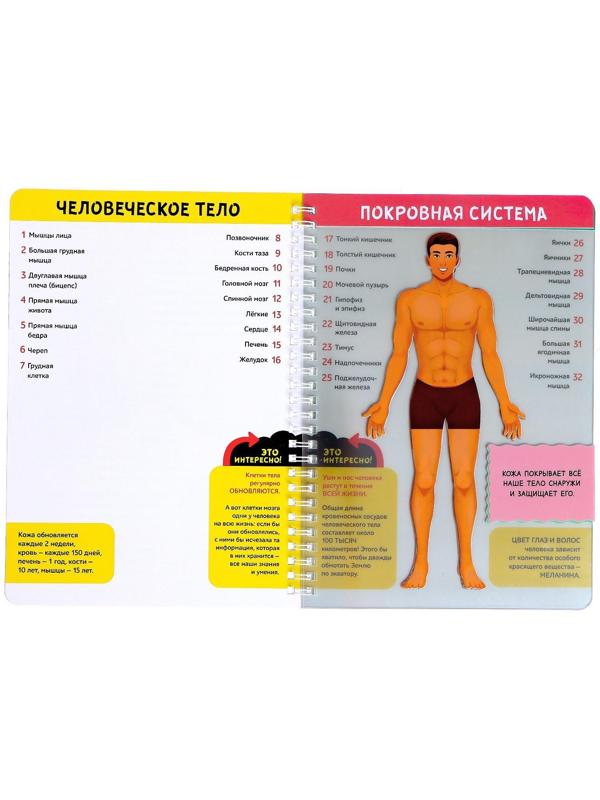 Книга с прозрачными страницами «Моё тело», 32 стр.