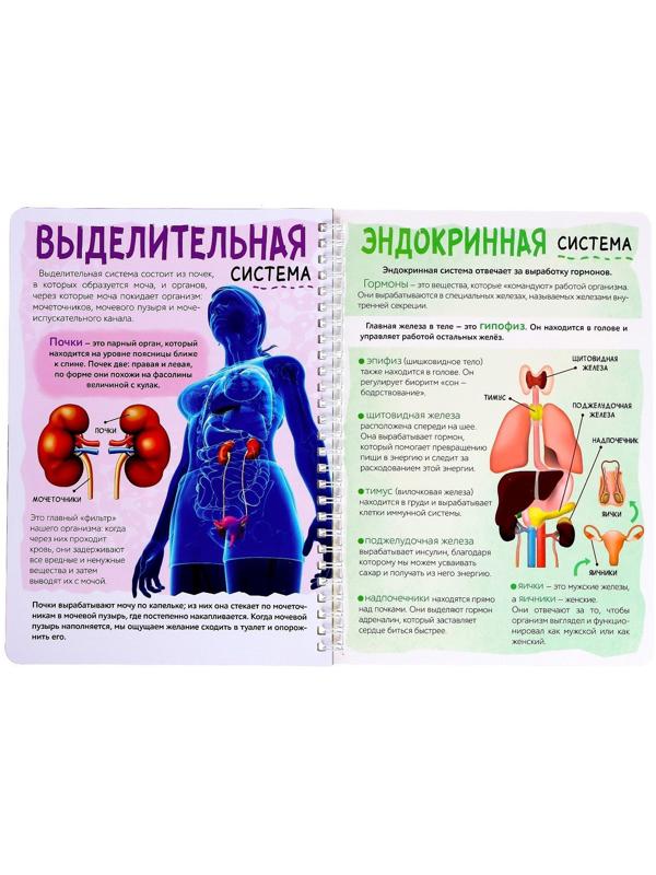 Книга с прозрачными страницами «Моё тело», 32 стр.