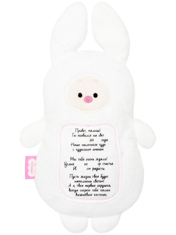 Мягкая игрушка 3 в 1 «Зайка» с метрикой, с вишнёвыми косточками, 19,5 см