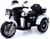 Электромотоцикл «Трайк», 2-х местный, 2 мотора, цвет чёрно-белый
