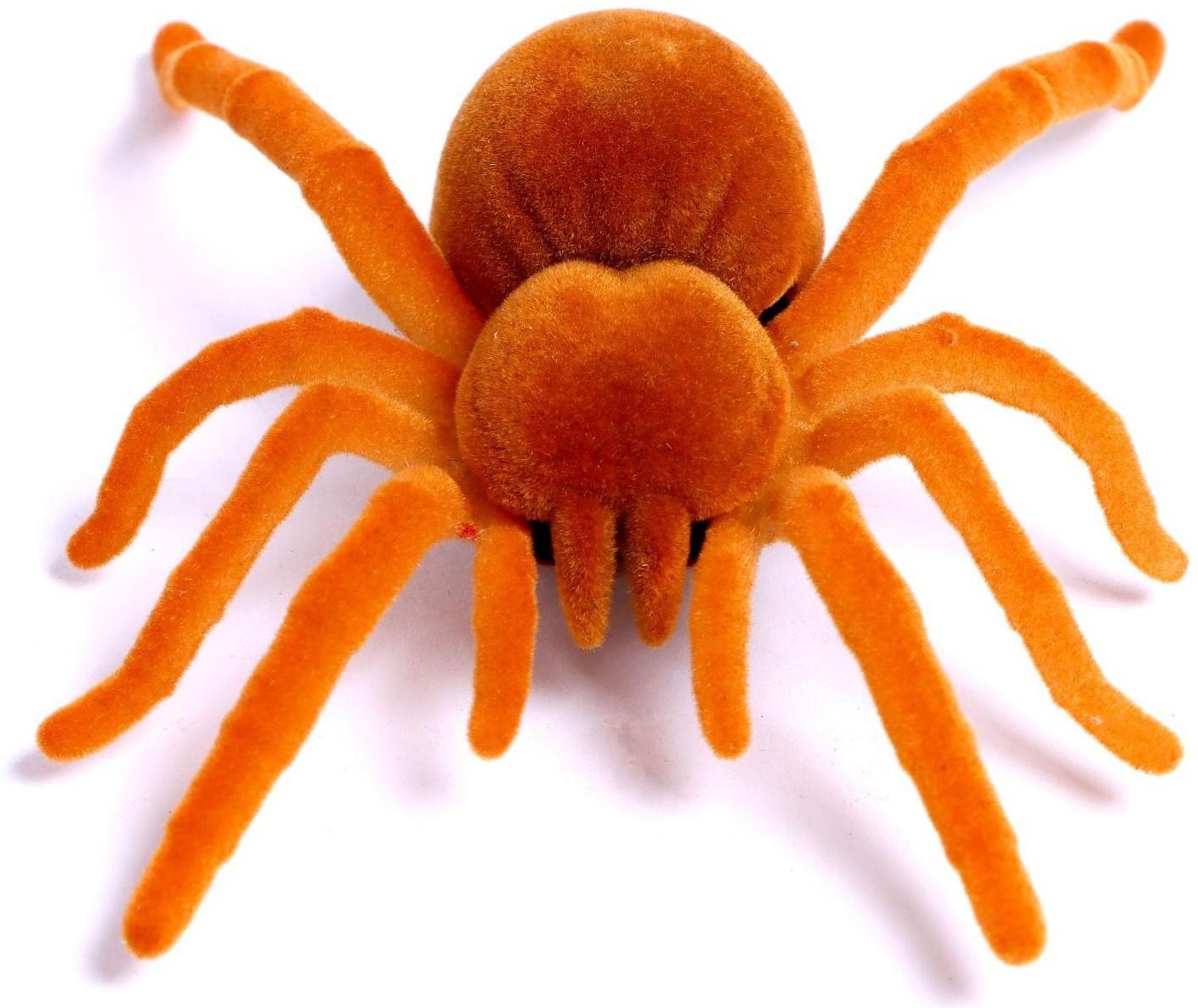 Жучок «Тарантул», работает от батареек