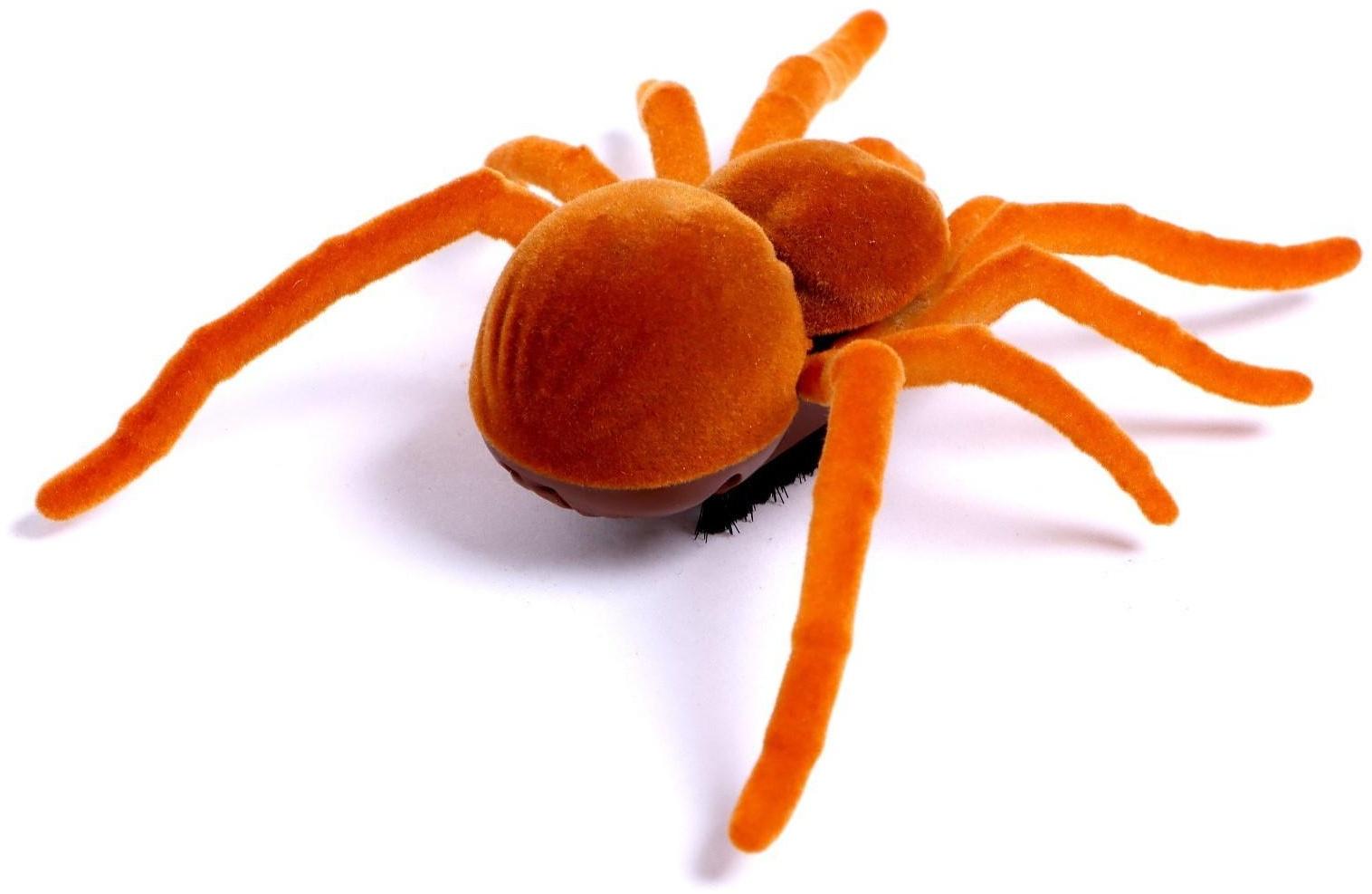 Жучок «Тарантул», работает от батареек