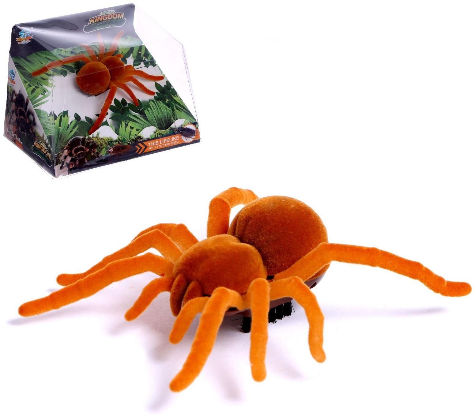 Жучок «Тарантул», работает от батареек