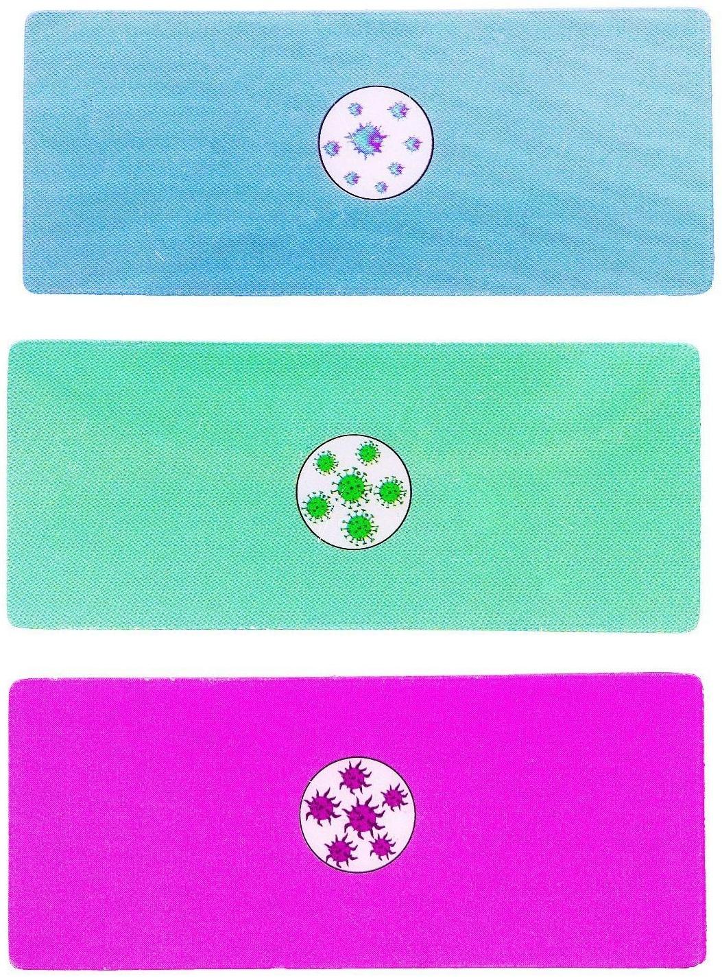 Набор для опытов «Научный набор 2В1», модель тела человека и лабораторная посуда