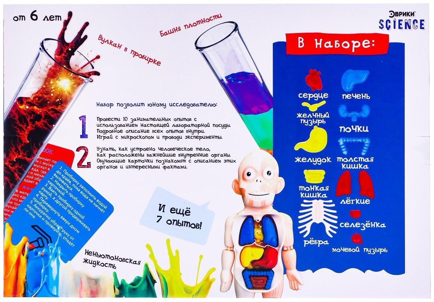 Набор для опытов «Научный набор 2В1», модель тела человека и лабораторная посуда