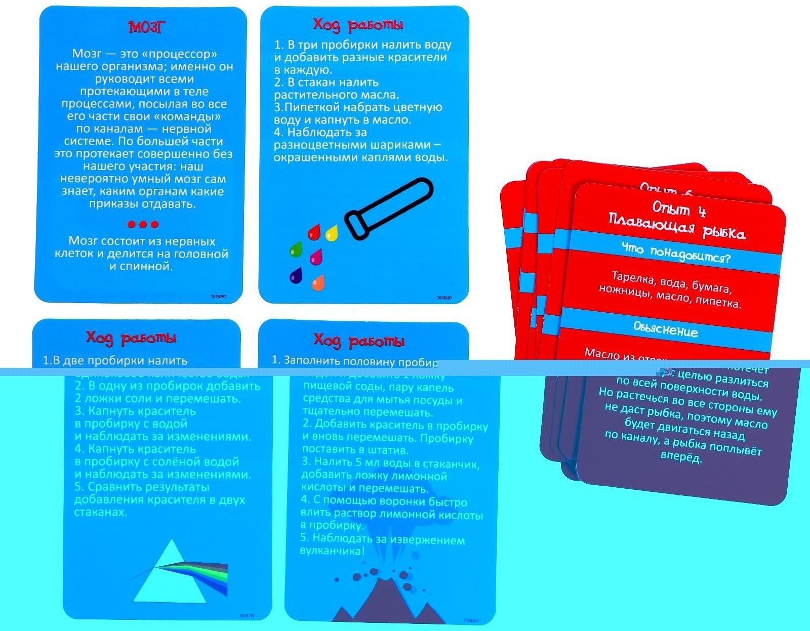 Набор для опытов «Научный набор 2В1», модель тела человека и лабораторная посуда