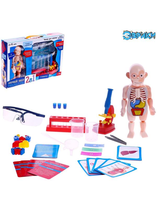 Набор для опытов «Научный набор 2В1», модель тела человека и лабораторная посуда