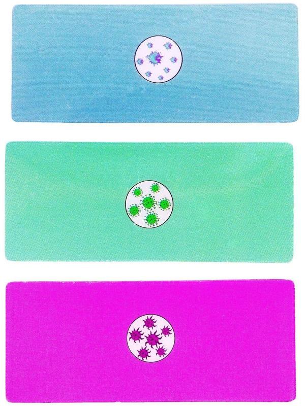 Набор для опытов «Научный набор 2В1», модель тела человека и лабораторная посуда