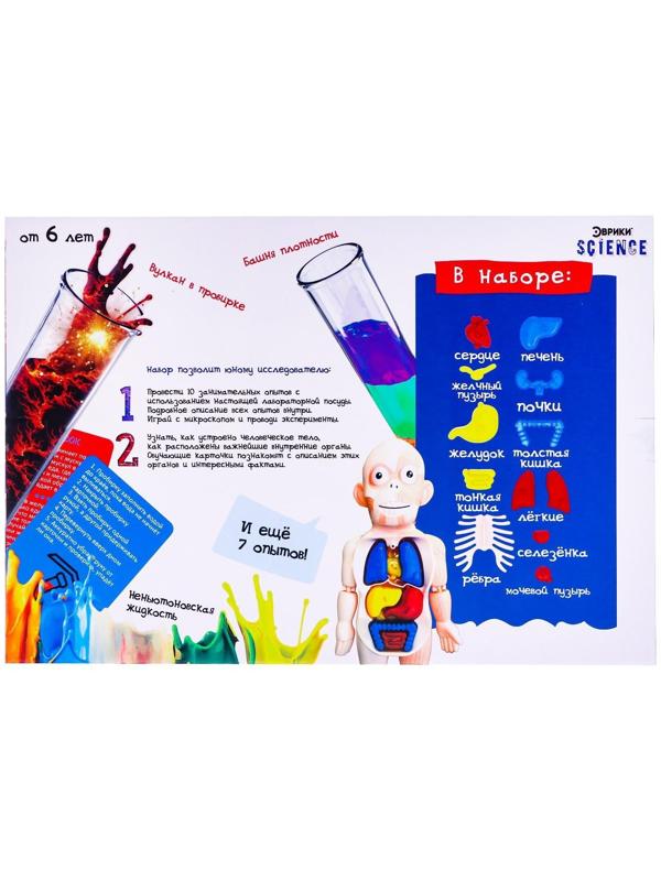 Набор для опытов «Научный набор 2В1», модель тела человека и лабораторная посуда