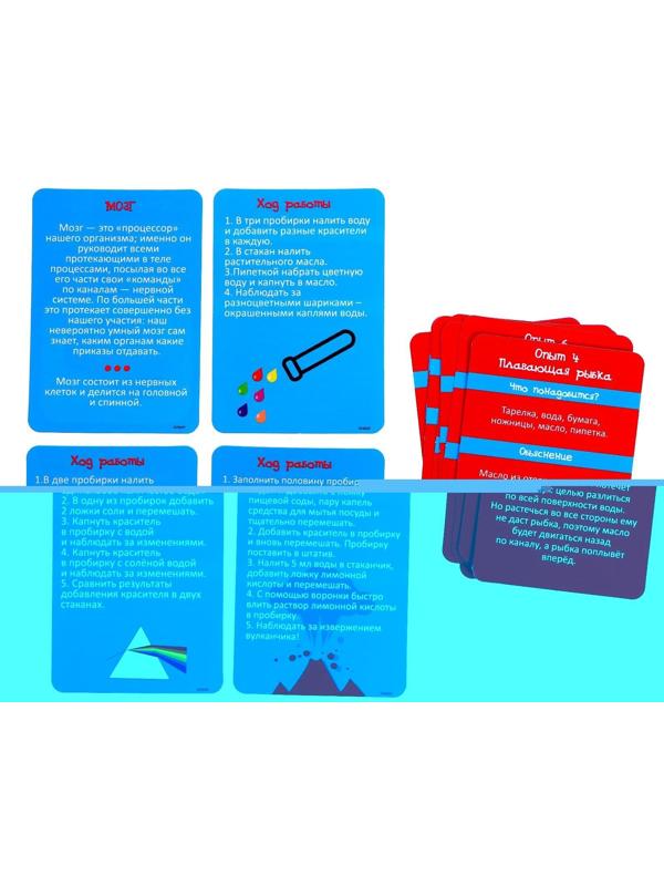 Набор для опытов «Научный набор 2В1», модель тела человека и лабораторная посуда