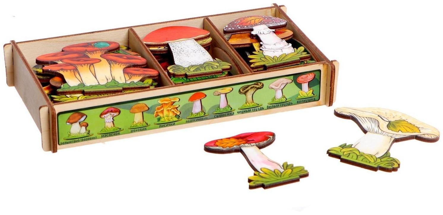 Набор «Грибы на подставке» в деревянной коробке, 36 деталей