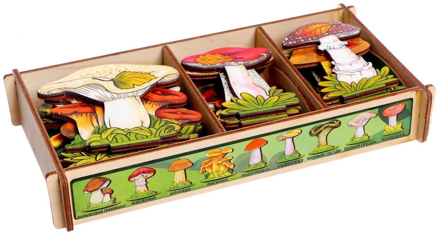 Набор «Грибы на подставке» в деревянной коробке, 36 деталей
