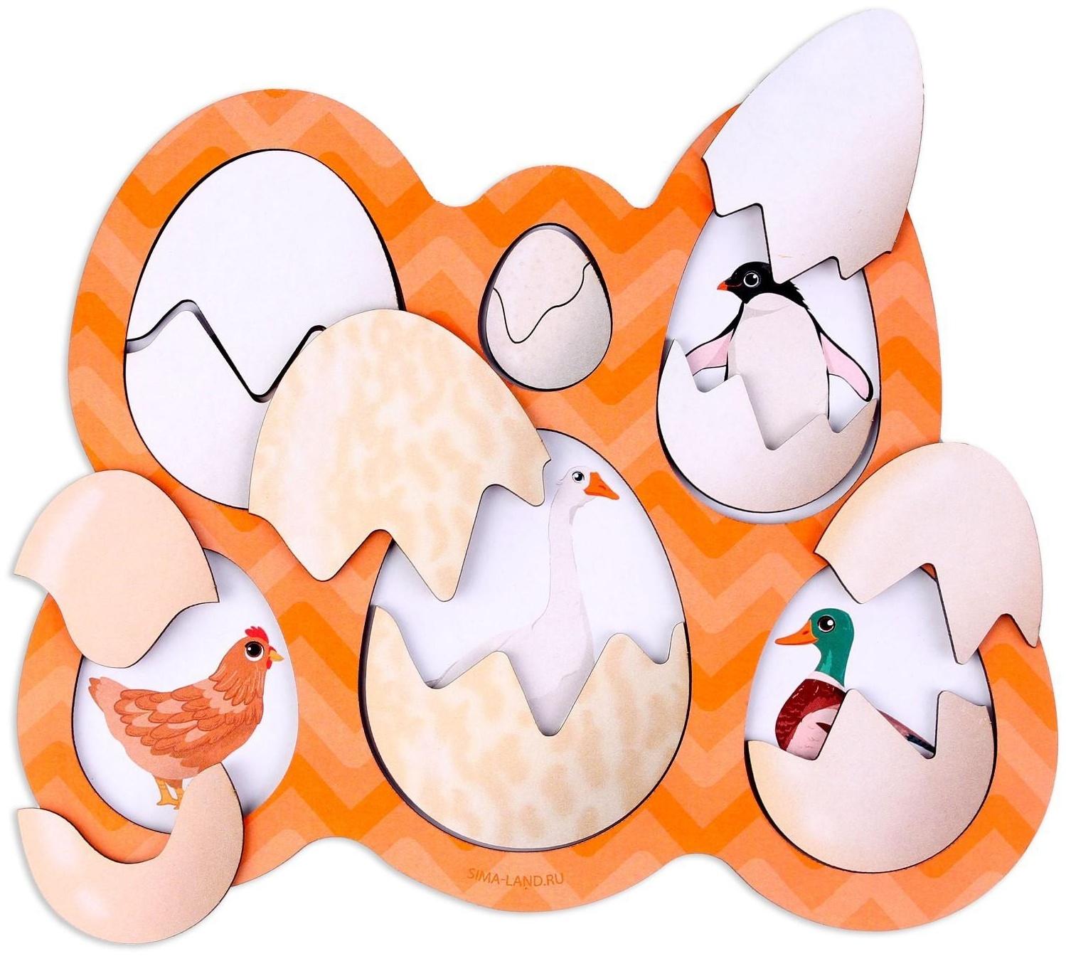 Развивающие доски «Птицы»