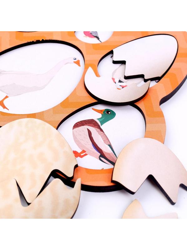 Развивающие доски «Птицы»