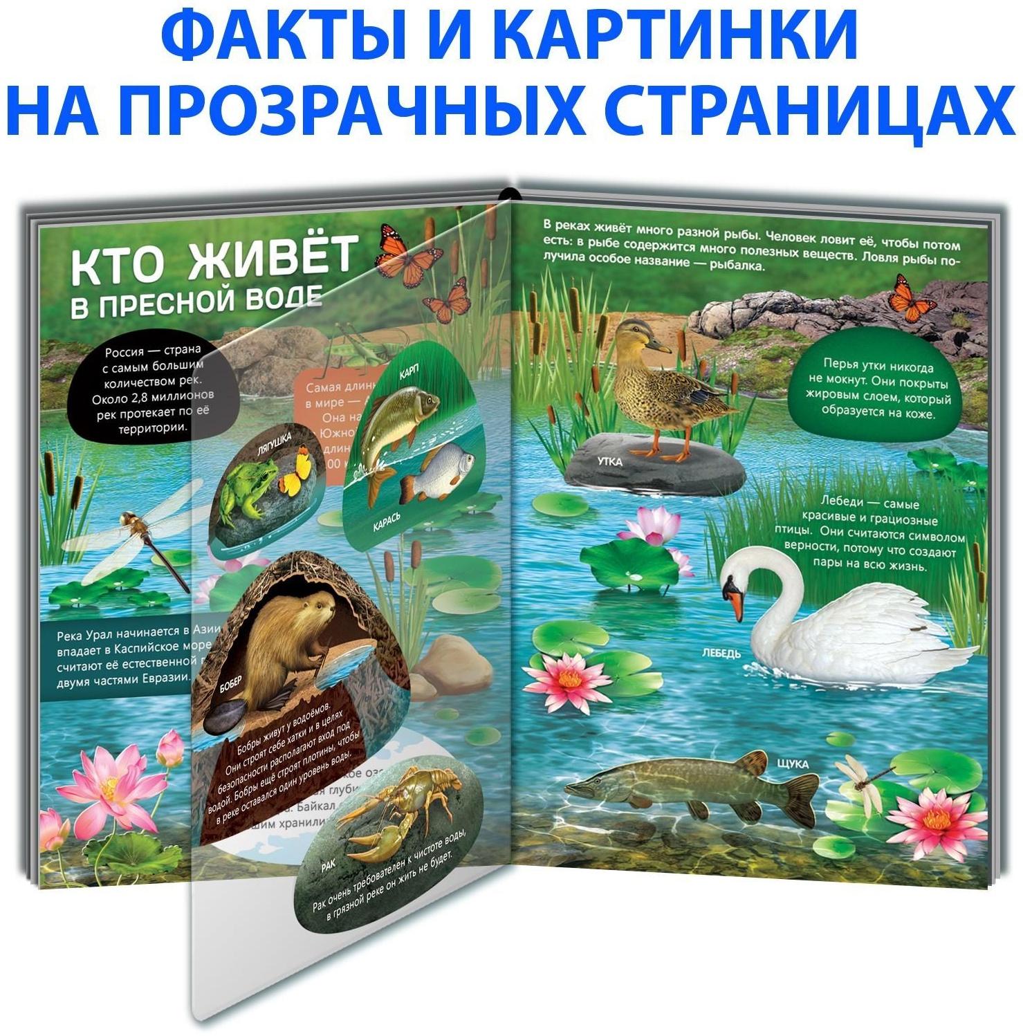 Книга с прозрачными страницами «Жизнь на земле. Животные и где они обитают», 32 стр.