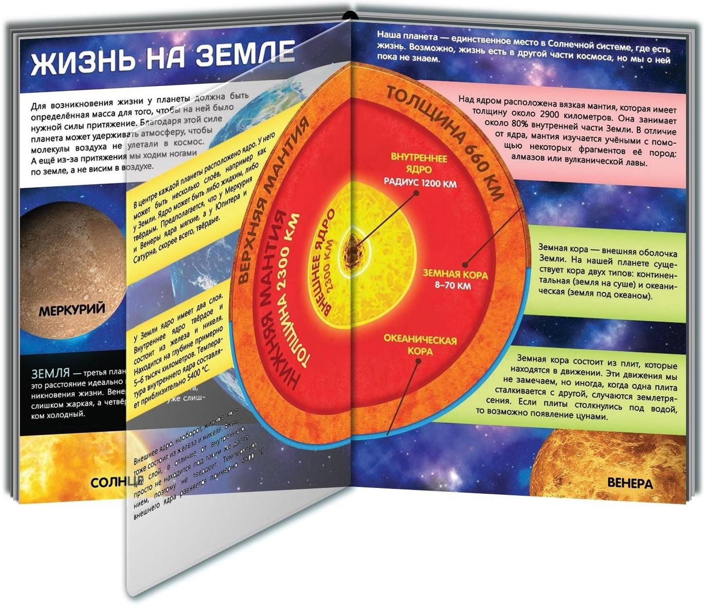 Книга с прозрачными страницами «Жизнь на земле. Животные и где они обитают», 32 стр.
