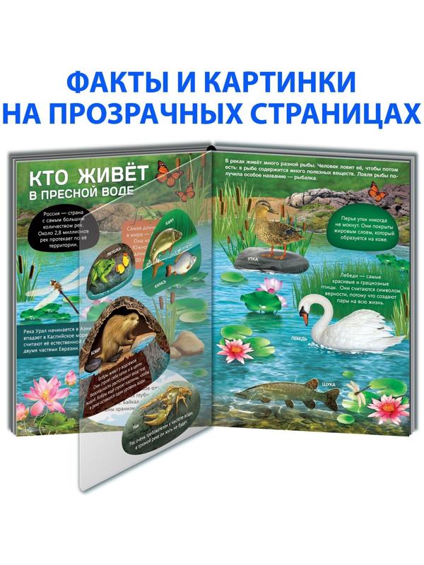 Книга с прозрачными страницами «Жизнь на земле. Животные и где они обитают», 32 стр.