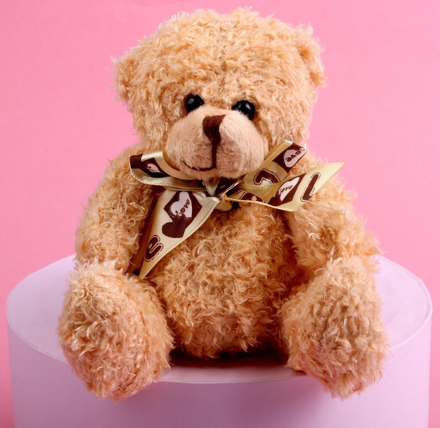 Мягкая игрушка «Для тебя»