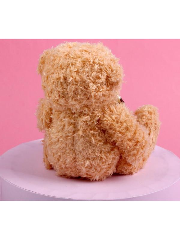 Мягкая игрушка «Для тебя»