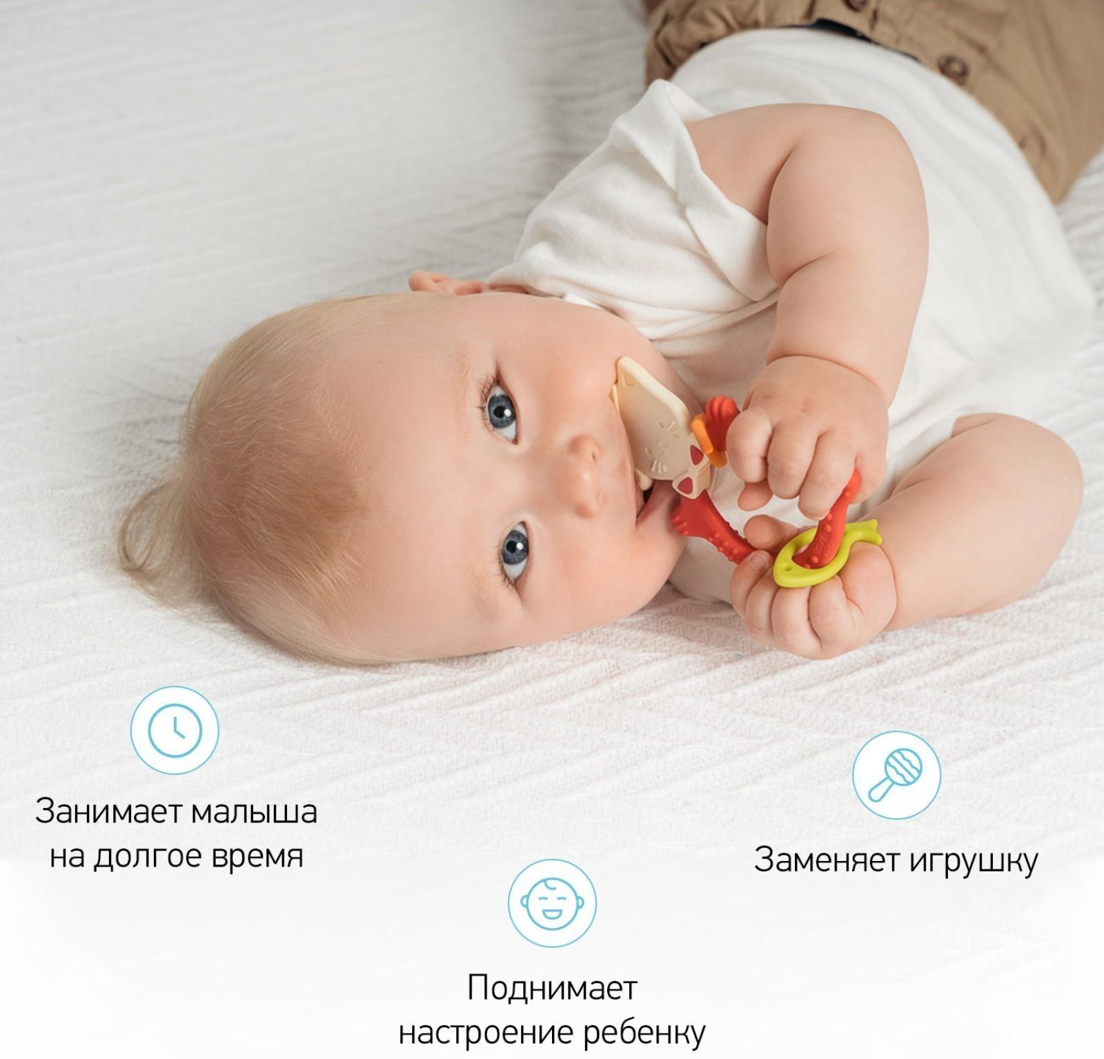 Прорезыватель MEOW TEETHER, универсальный, цвет МИКС