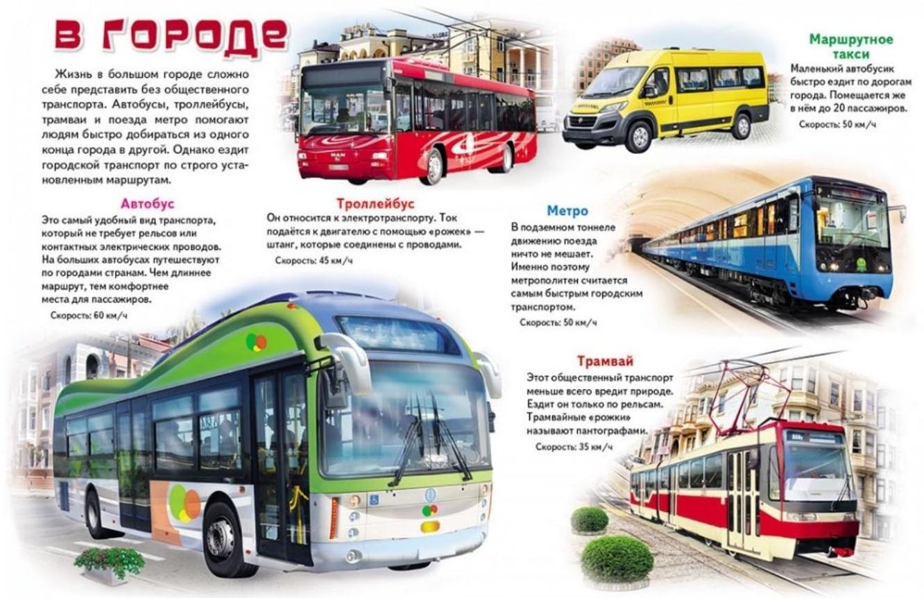 Моя первая книга «О транспорте»