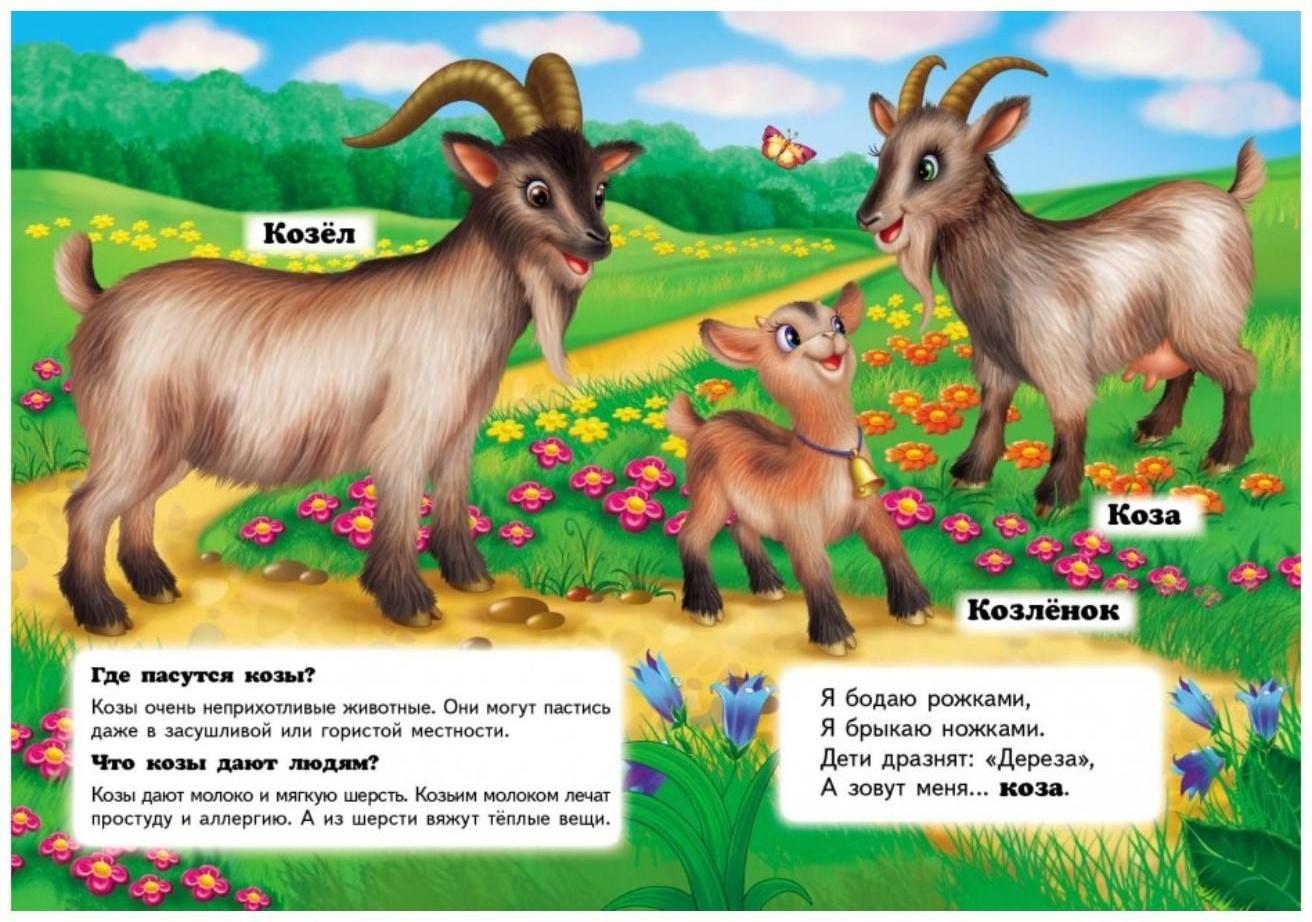 Мини энциклопедия «Кто это? На ферме»