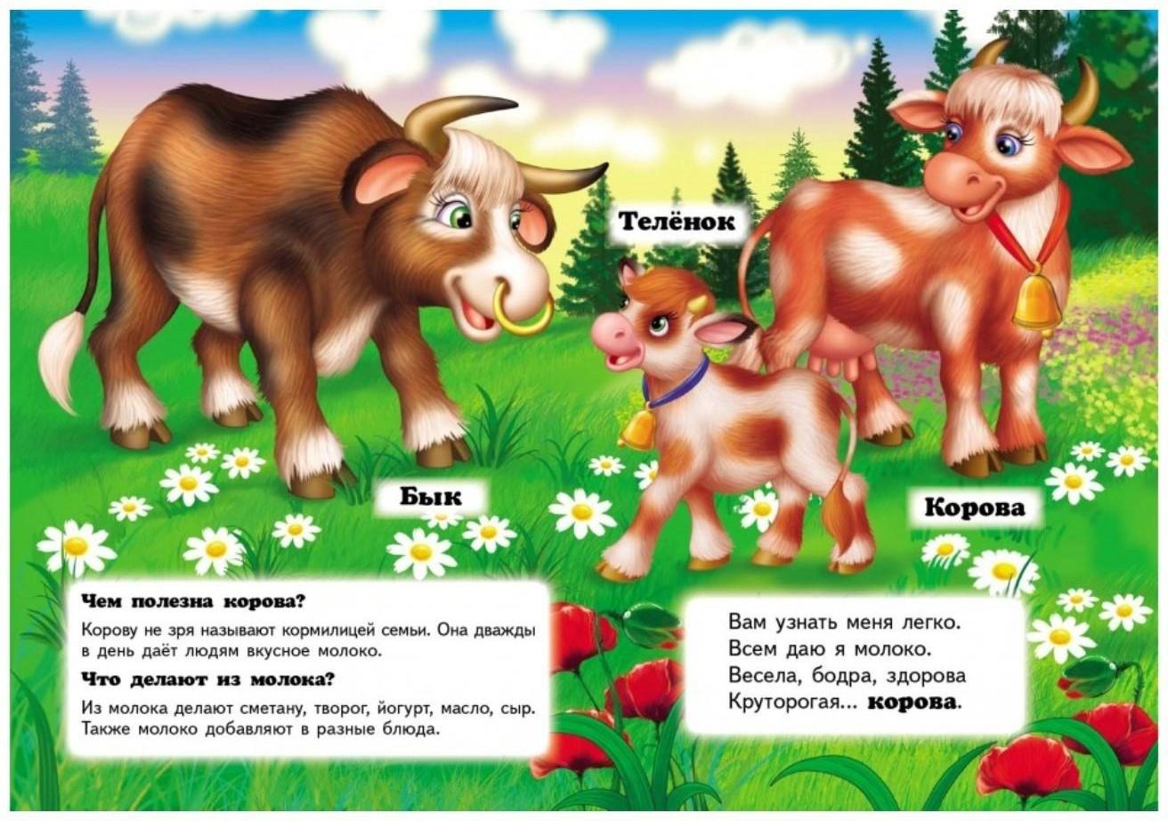 Мини энциклопедия «Кто это? На ферме»