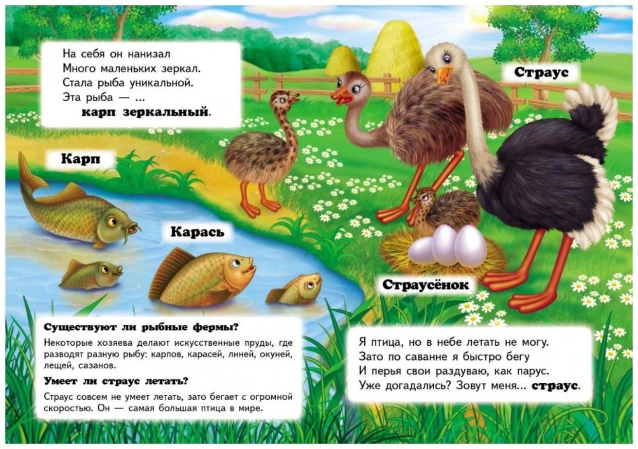 Мини энциклопедия «Кто это? На ферме»