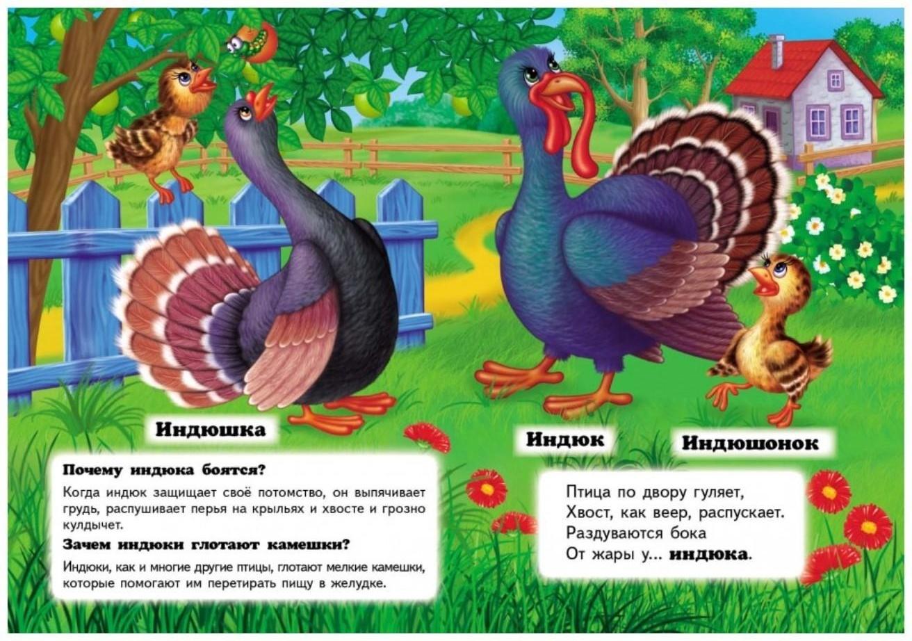 Мини энциклопедия «Кто это? На ферме»