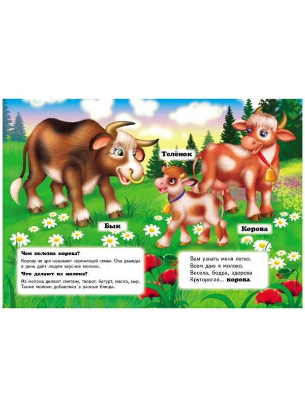 Мини энциклопедия «Кто это? На ферме»