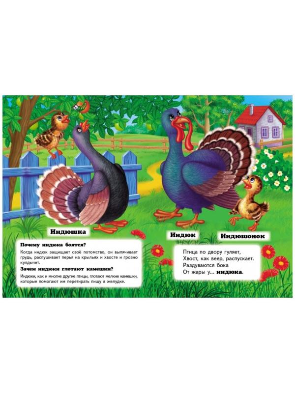 Мини энциклопедия «Кто это? На ферме»